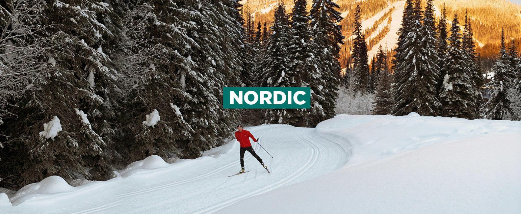 Picture of NORDIC RENTALS