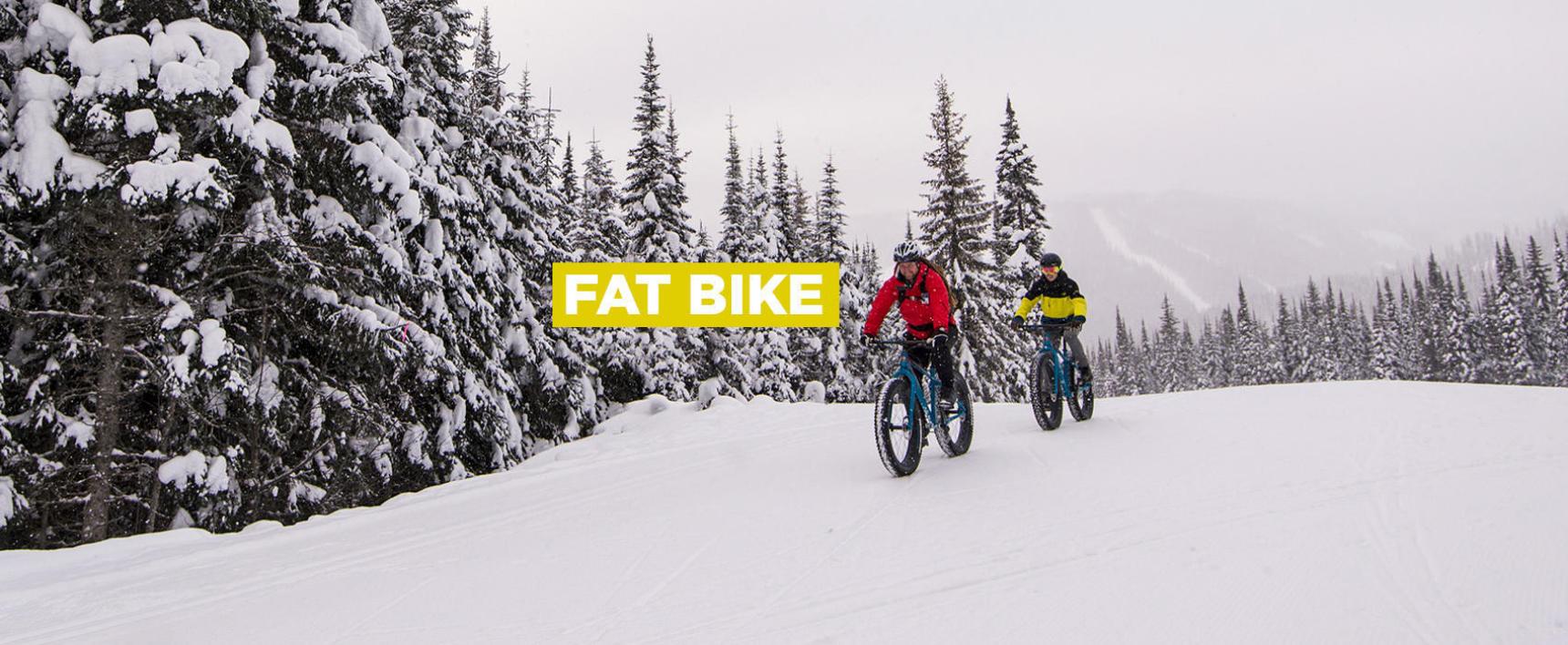 Picture of FAT BIKE RENTALS