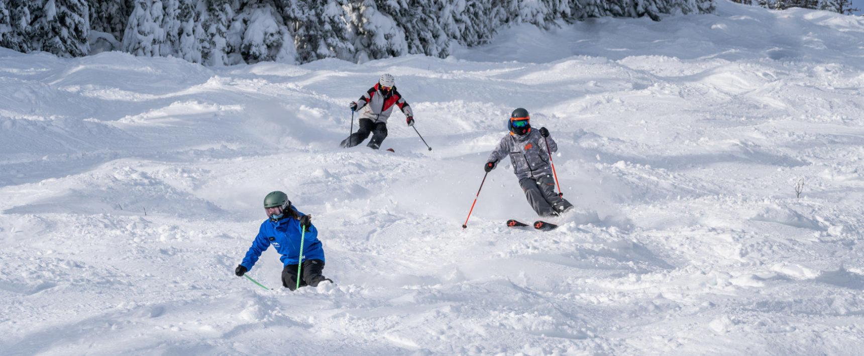 Picture of ADULT ALL MOUNTAIN PERFORMANCE GROUP LESSON