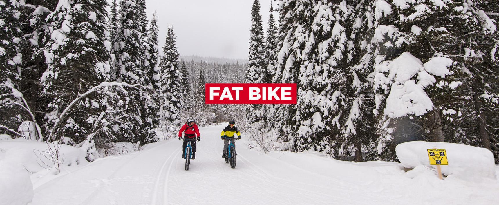 Picture of FAT BIKE DAY TICKETS