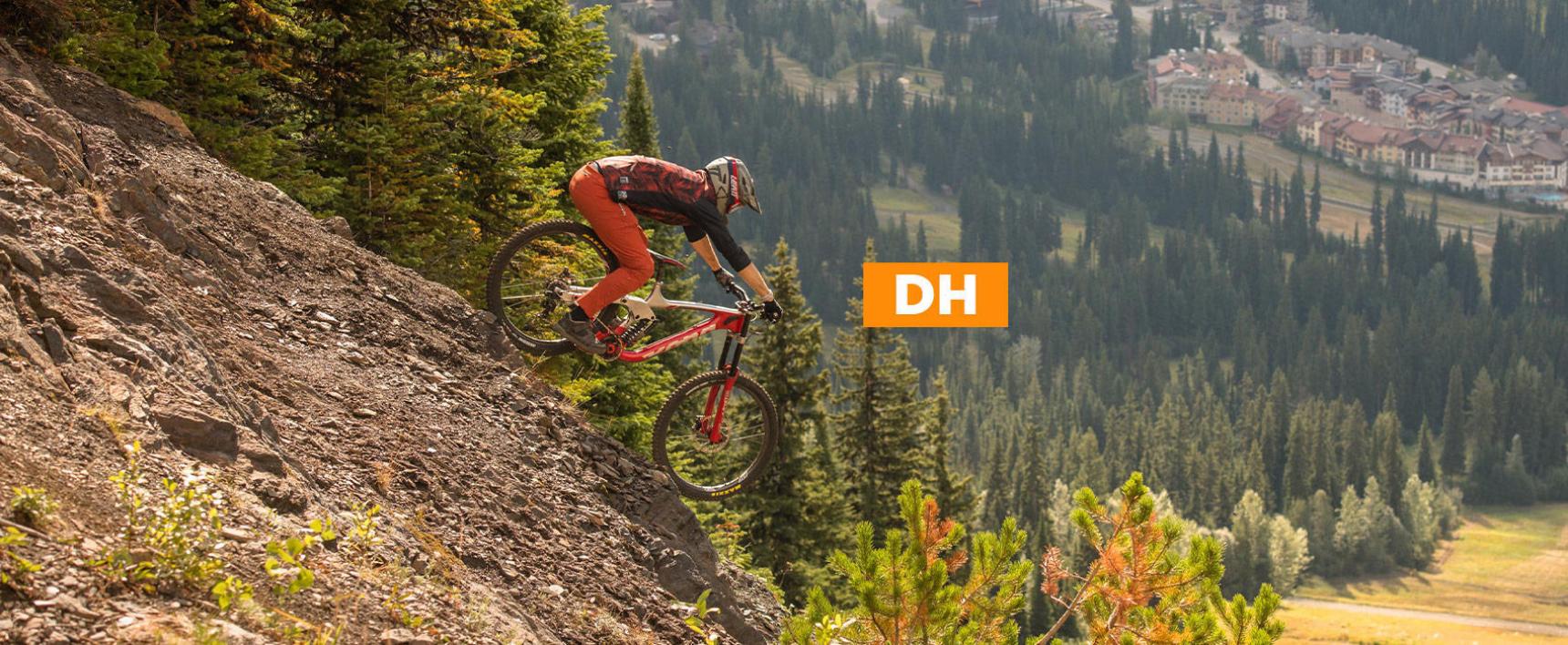 Picture of DH BIKE RENTALS