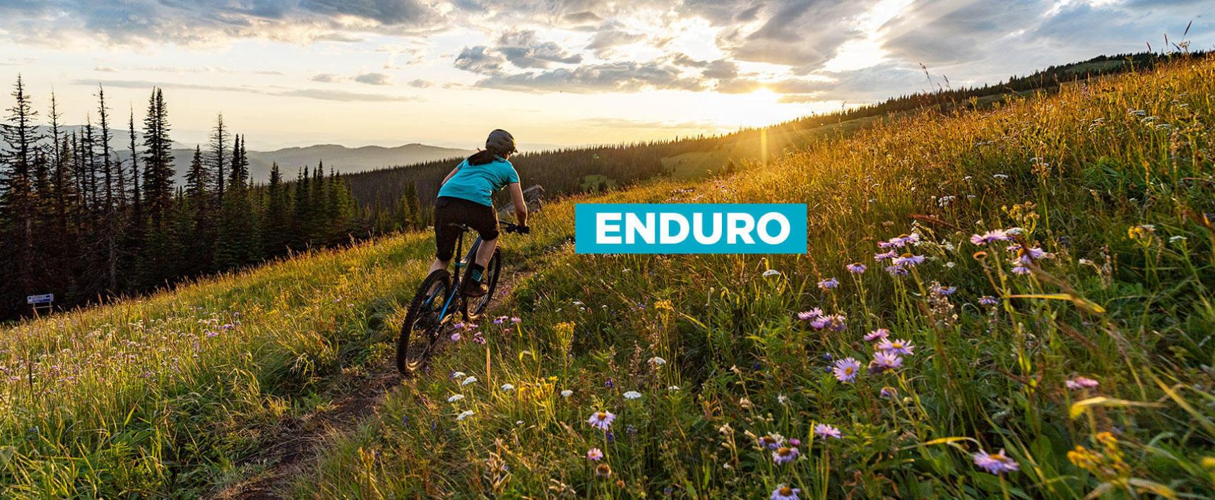 Picture of ENDURO BIKE RENTALS