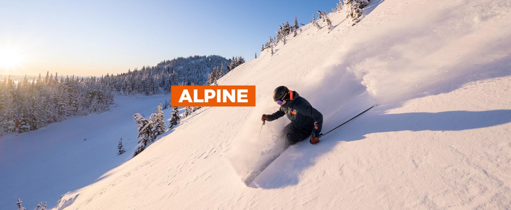 Picture of ALPINE DAY TICKETS